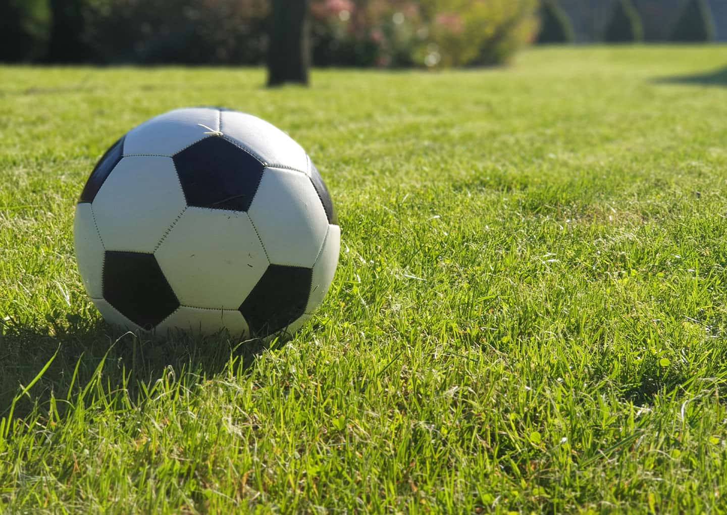 Ein Fussball auf dem Rasen